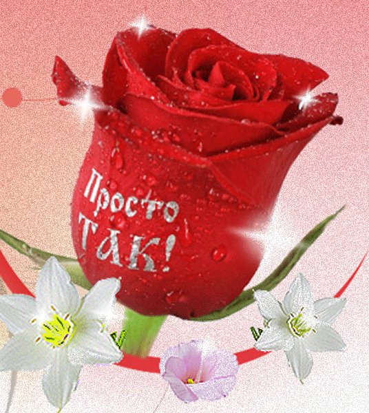 IMG 20211118 083805