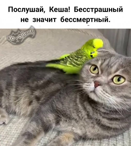 FB IMG 1775509823389