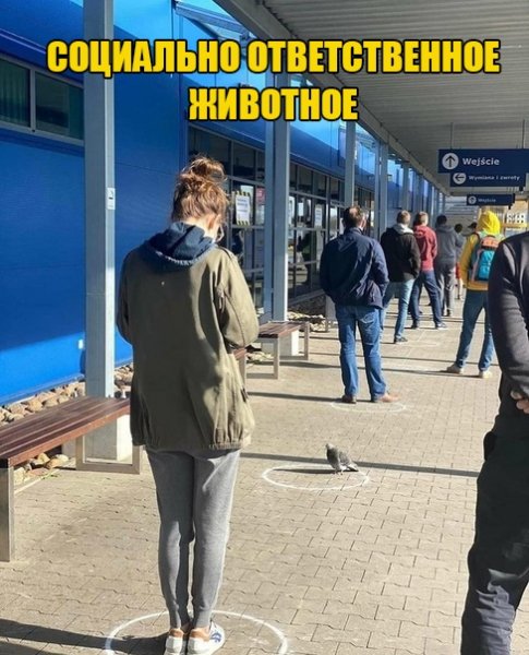 5H0UmOqaUjE