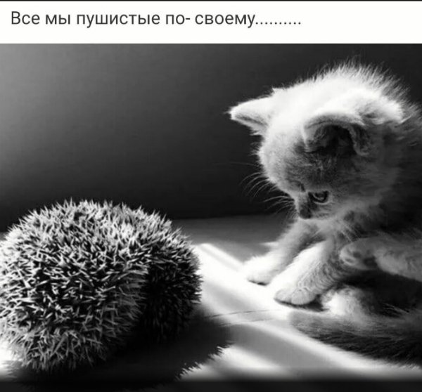 file_89172803