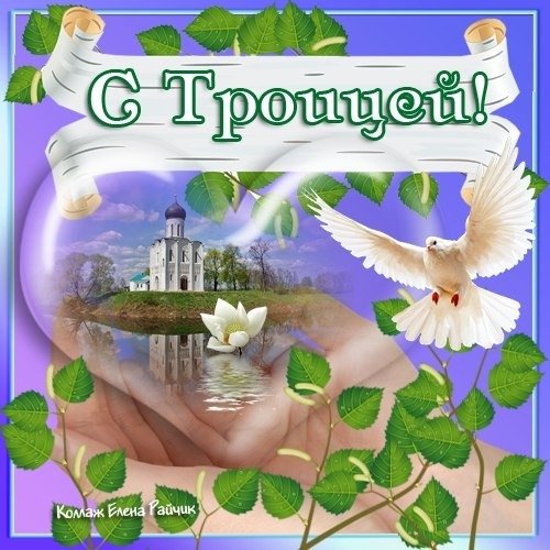 image (1)