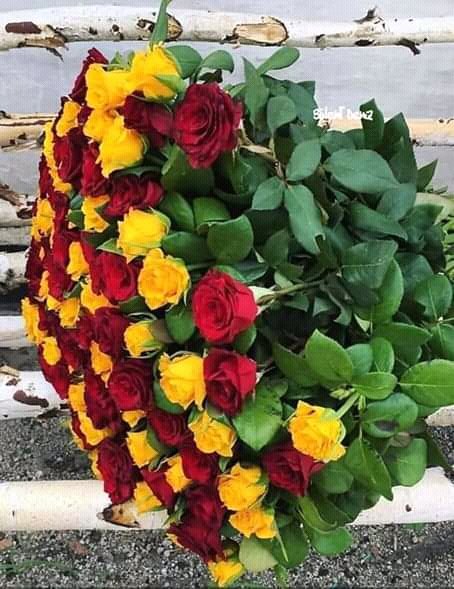 FB IMG 16028760099295943