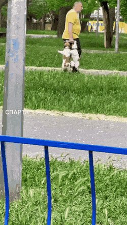 Растут малыши..