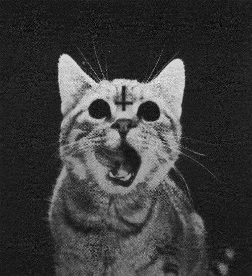 pica - Puskay OST Molodyozhka