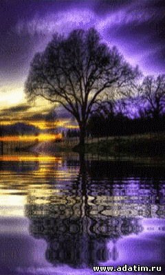 file_57304524