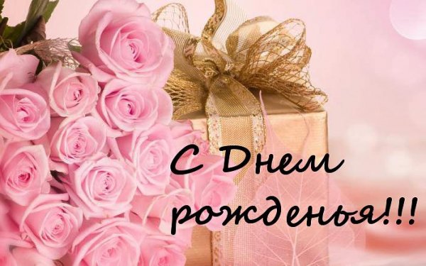 file_81284488