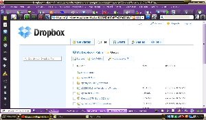 Dropbox 0.7.110