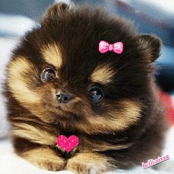 file_78120129