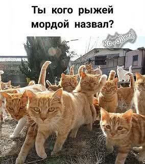 FB IMG 1775928901313