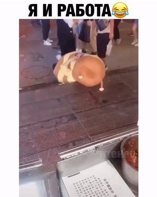 Раббота