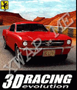 3D Racing Evolution 240-320