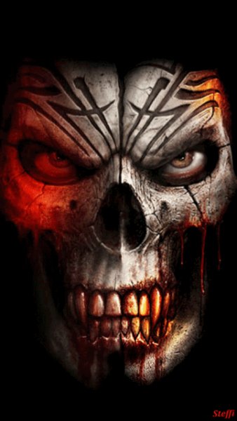 skull 1