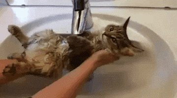 f4d2ca9675bda1844211e5ba70c6f2db4dc