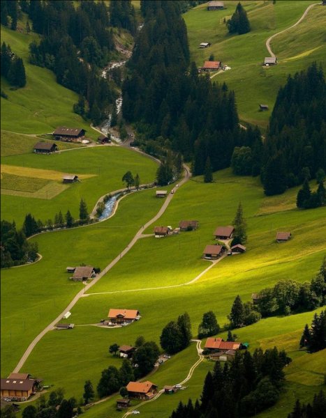 Screenshot 2021-06-06-17-25-11