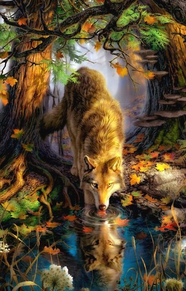 IMG 20190804 144312 428