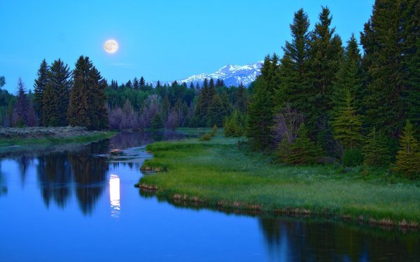 file_78888989