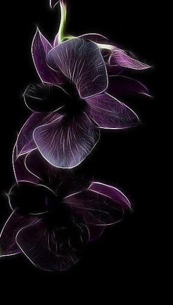 file_90177537