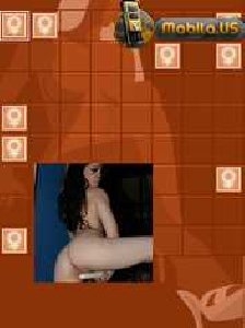 sexypairshard 240x320 N