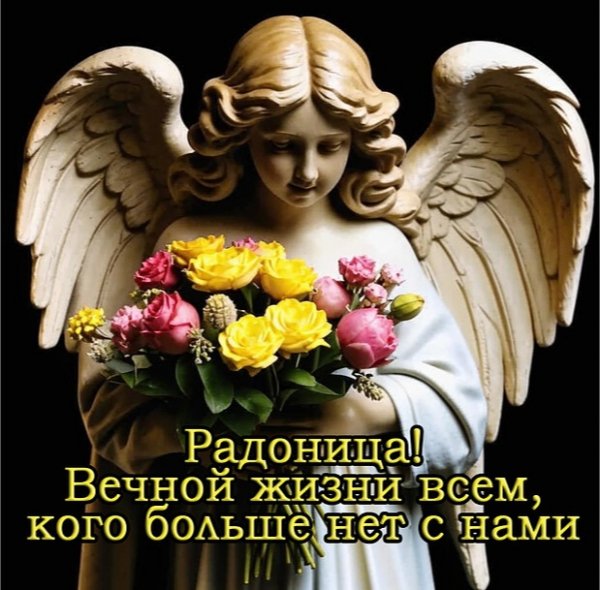 IMG 20260422 115226