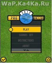 Pro Tennis 2013