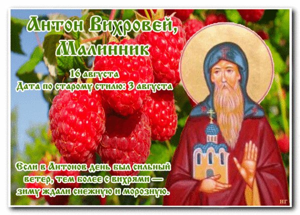 Анимированная открытка антон вихревей