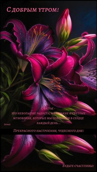file_93464254