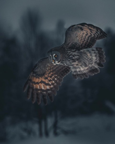 file_96183211