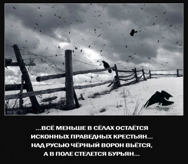 file_101493487