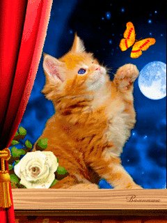file_64020877