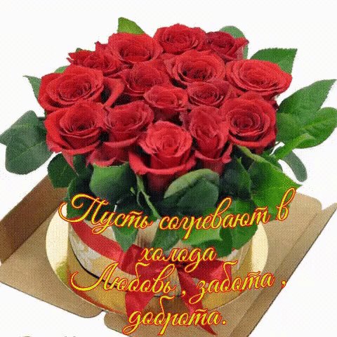 IMG 20210224 140746