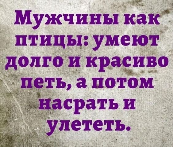 IMG 20250213 181545 784