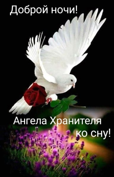 Доброй ночи