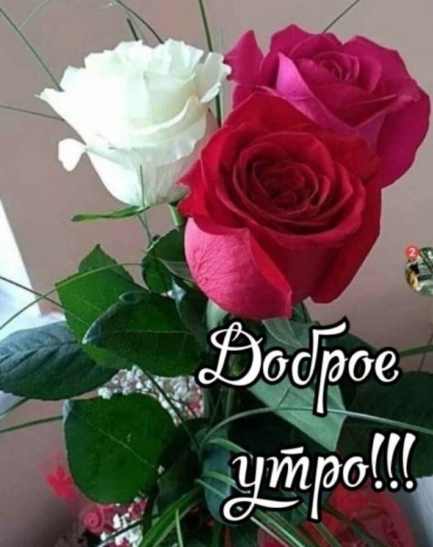 IMG 20200403 050336