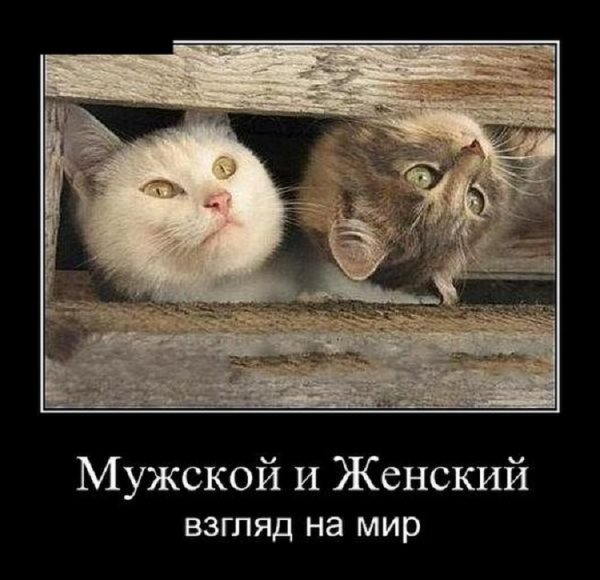 Взгляд на мир с разного ракурса