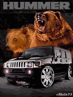 HUMMER BEAR