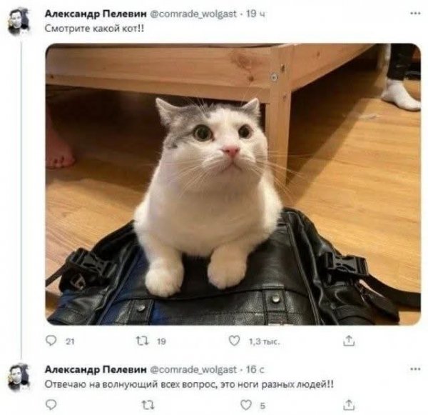 FB IMG 1776446851648