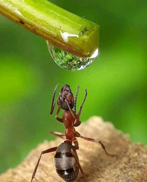 Находка