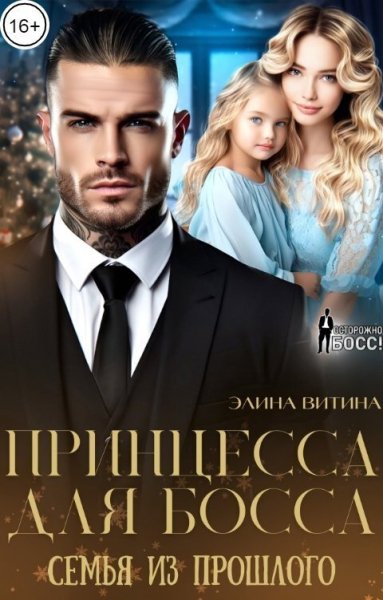 Витина. Принцесса для босса. Семья из прошлого