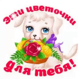 IMG 20201112 212242