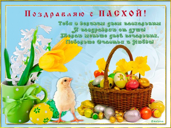 image (4)