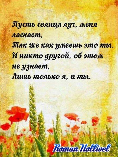 Роман Холливел Нежность