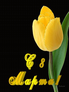 file_28306389