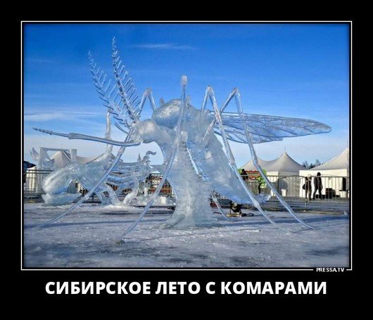 file_78500989