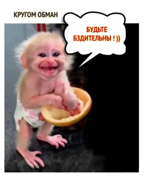 FB IMG 1776810347495