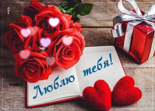 IMG 20250218 235602 771