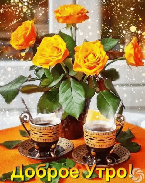 Доброе утро