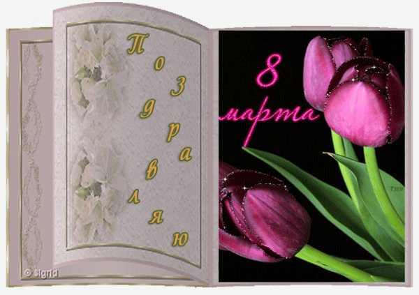 0 ade9f 38da19e7 XL