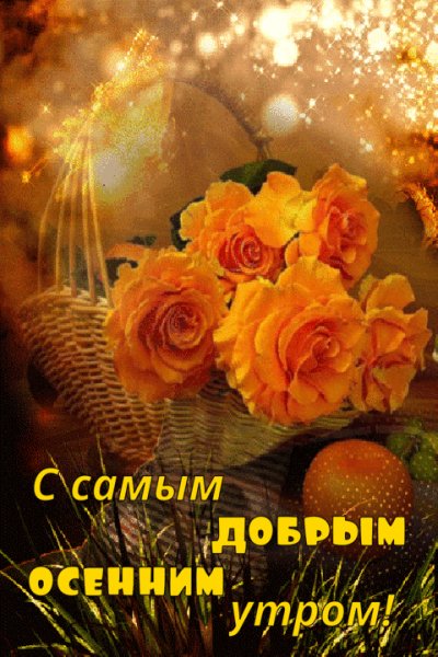 IMG 20231026 080957