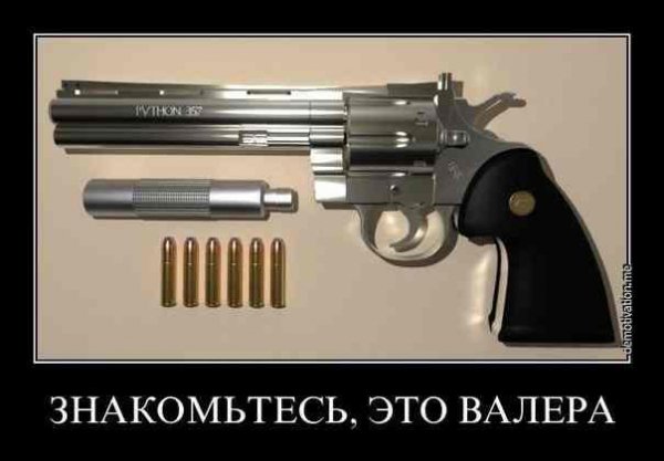 pavlic narkoman