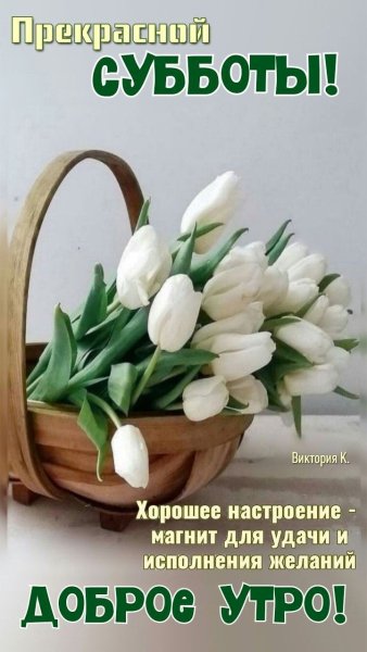 Доброе утро! Прекрасной субботы!